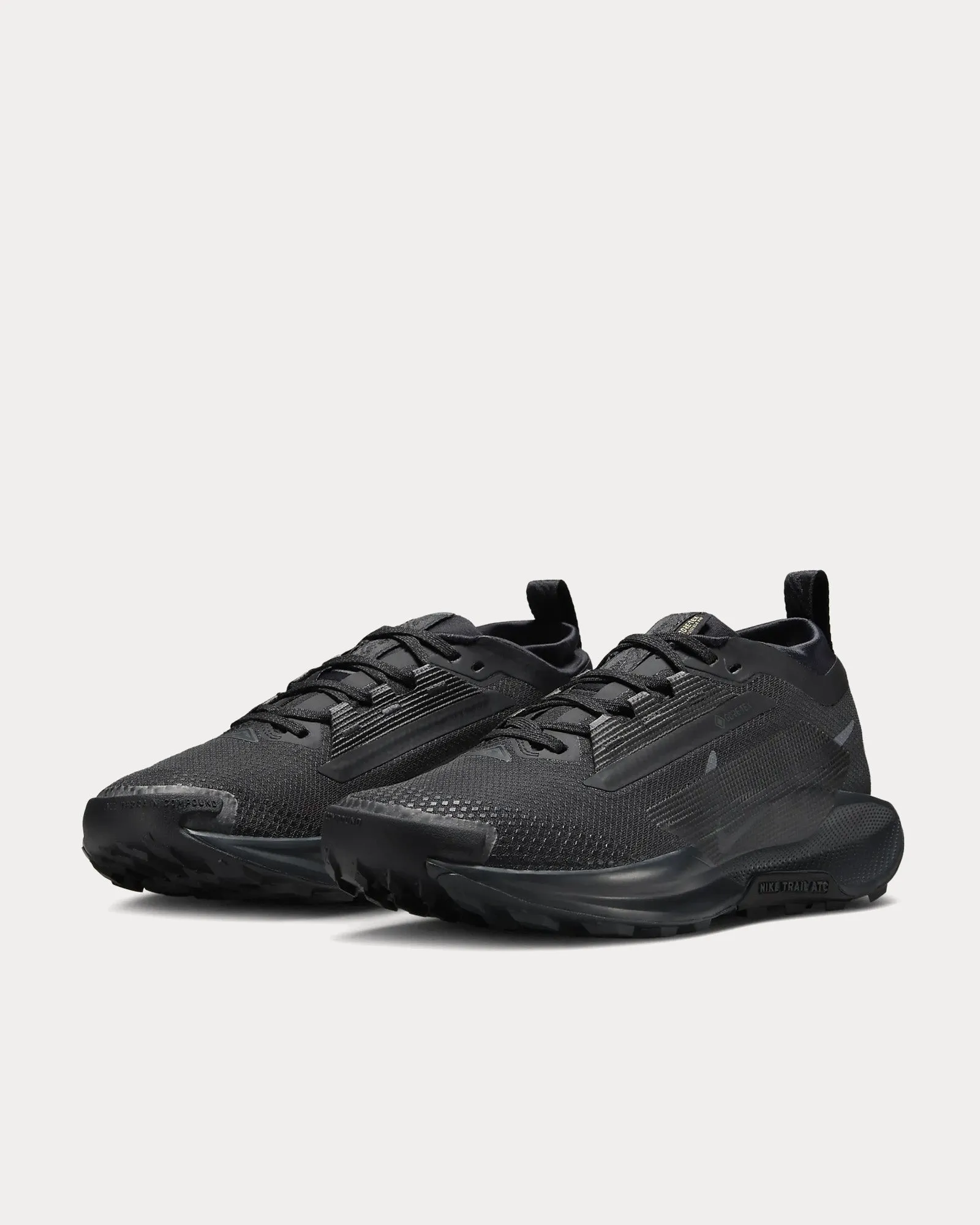 Pegasus Trail 5 Gore-Tex Black / Anthracite / Black Running Shoes