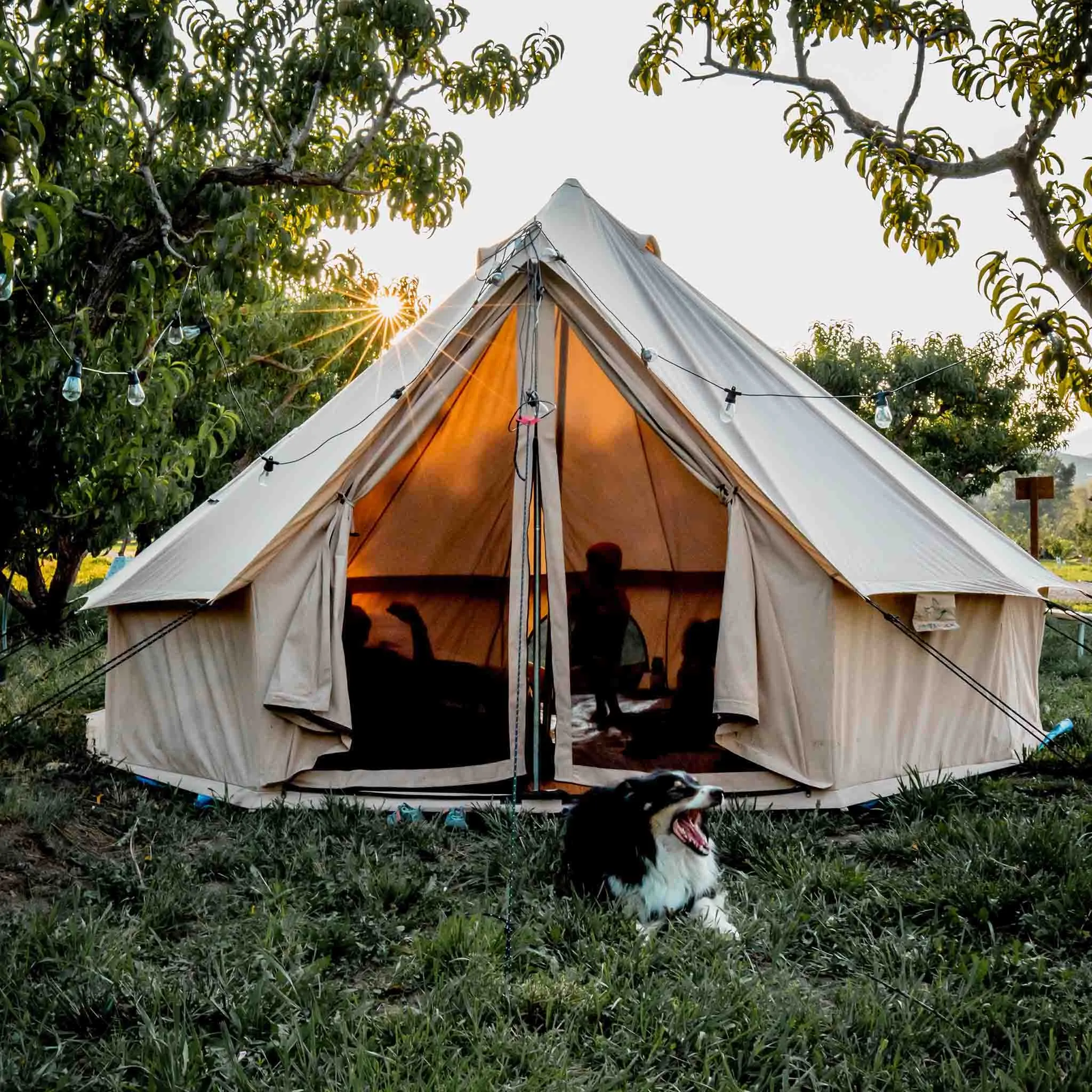 Regatta 13'1" Canvas Bell Tents