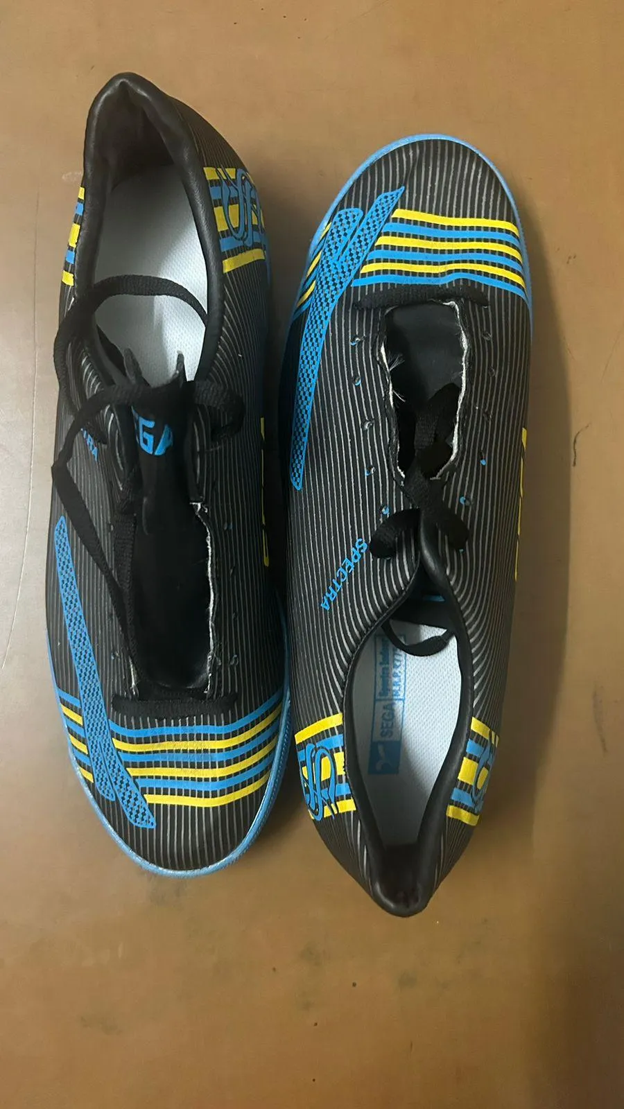 SEGA Spectra Leather Indoor Football Shoes | KIBI SPORTS