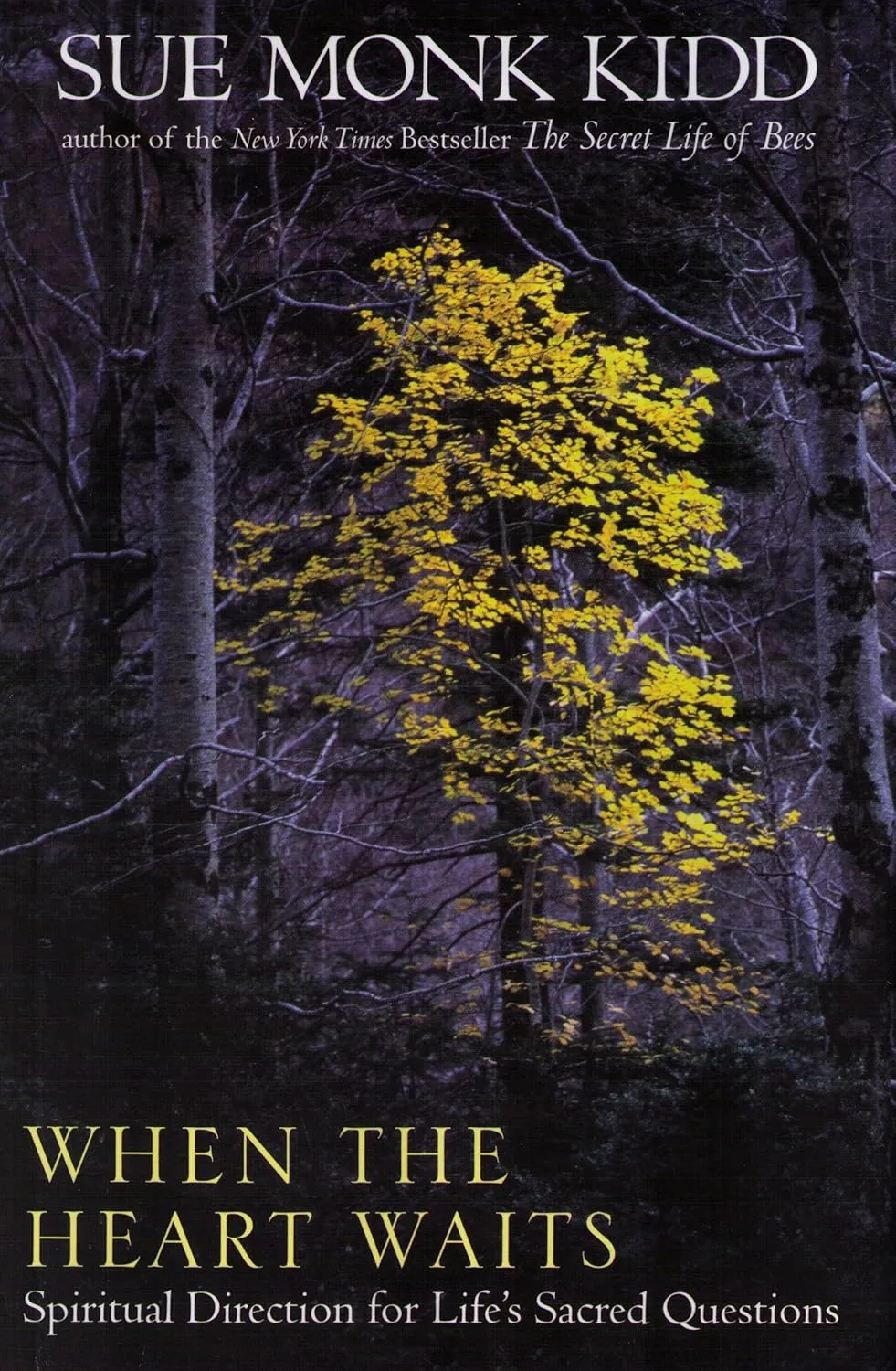 When the Heart Waits: Spiritual Direction for Life's Sacred Questions Hardcover  January 1, 1990